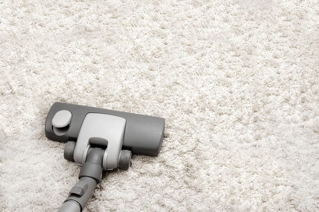 Hire a Professional Regarding Residential Carpet Cleaning in Albuquerque