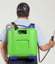 13833301_l-Man spraying insects- pest control