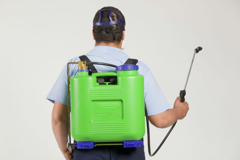13833301_l-Man spraying insects- pest control
