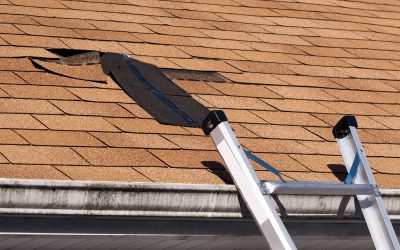 Protect Your Home Investment with Gutter Installation in Alexandria, MN for Lasting Results