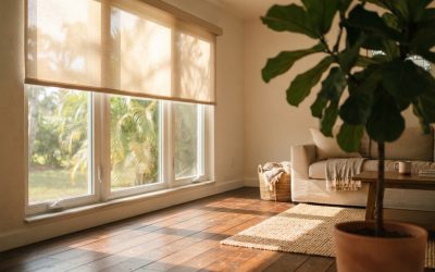 Window Shades in Spring Hill, FL: A Guide to Light Control and Privacy